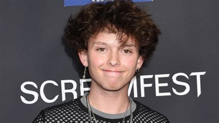 Jacob Sartorius, 18, is known online for his singing and dancing routines