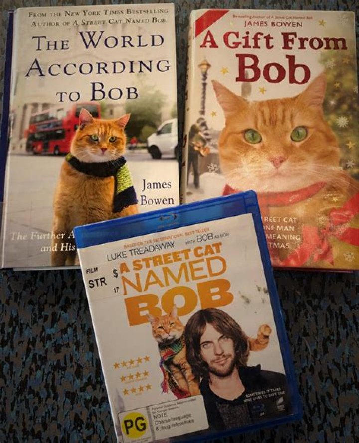 James and Bob became inseparable while he was busking on the streets of London