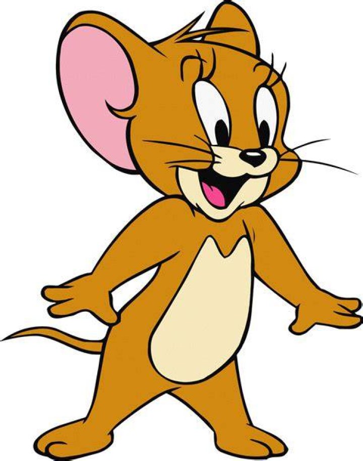Jerry's show made him one of the biggest stars in America