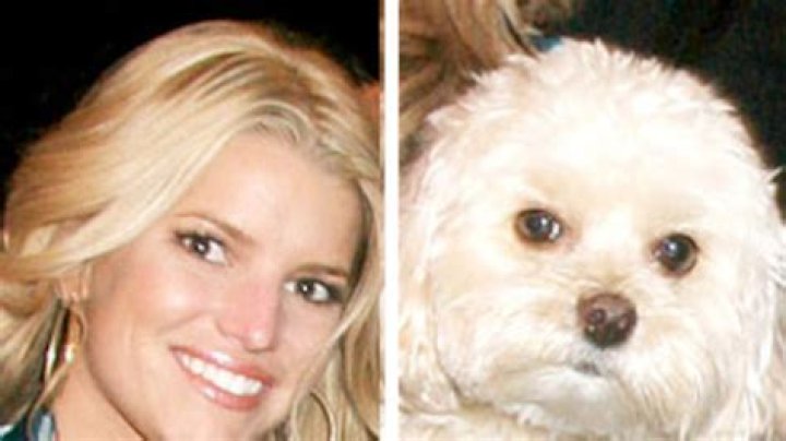Jessica-Simpson-Was-Heartbroken-by-Reaction-to-Viral-2009-Photo