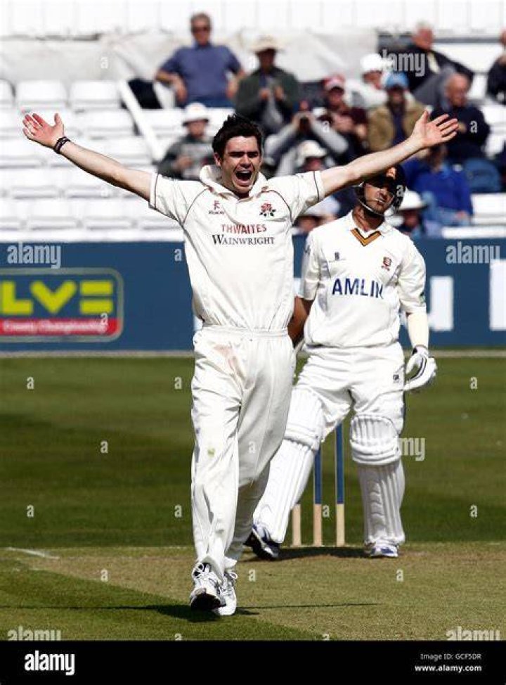 Jimmy Anderson unsuccessfully appeals for lbw against Rishabh Pent