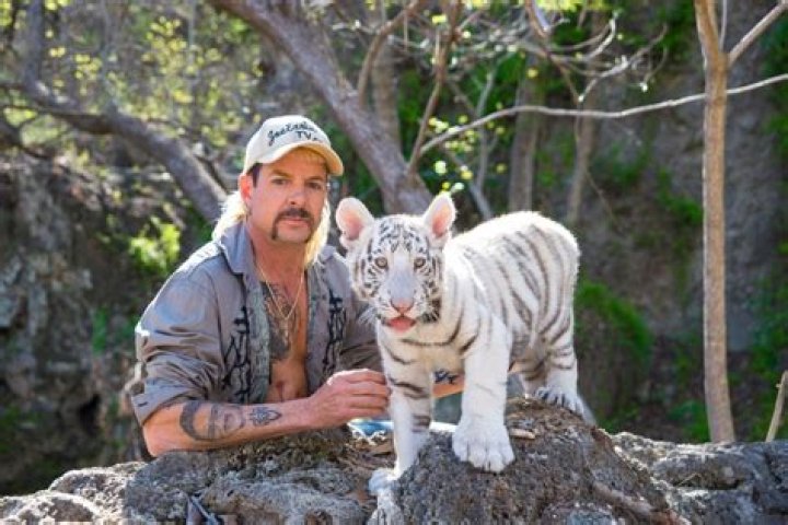 Joe Exotic's women's briefs are advertised for $21 via Odaingerous