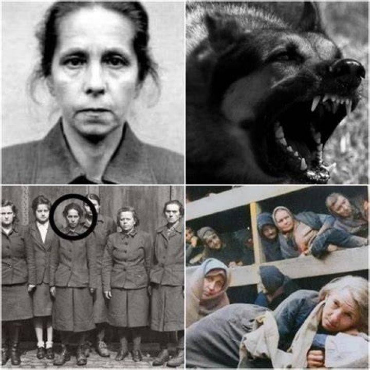 Juana Bormann set dogs on the inmates