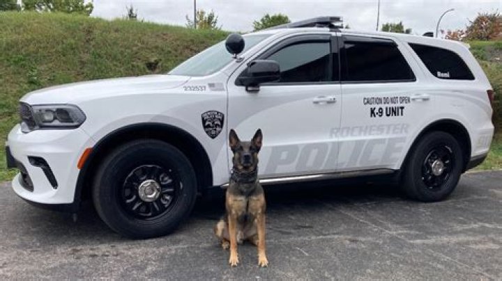 K-9 units used by the Montgomery County Police Department have uncovered more details in the case