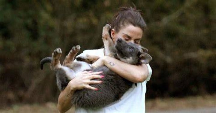 Katie dotes on Bunny, but didn't post on social media for her birthday
