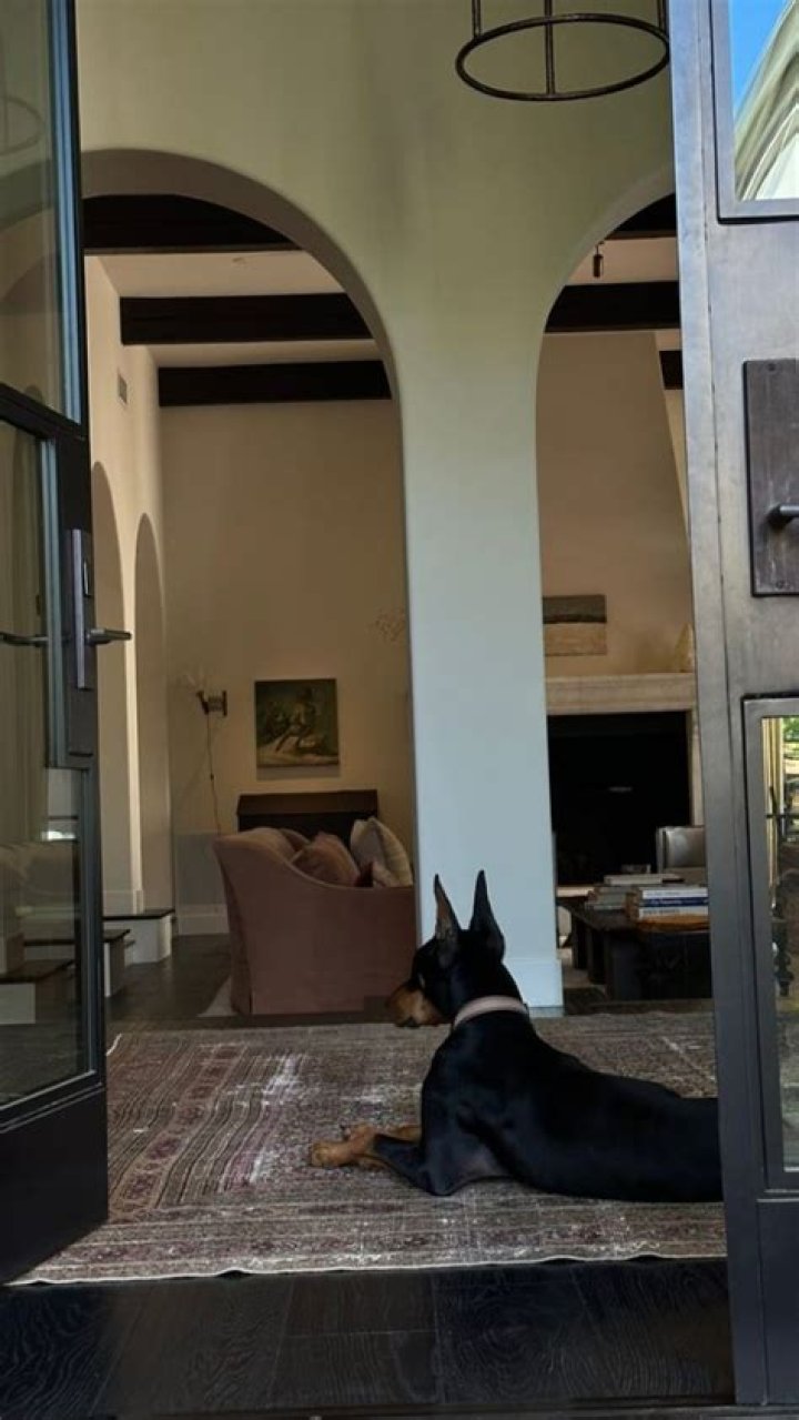 Kendall filmed her Doberman out in the woods