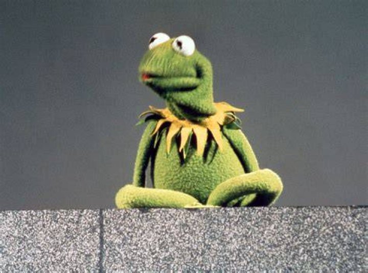 kermit's girlfriend denise