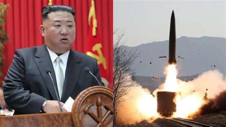  Kim Jong-un was said to begin recruiting his own Pleasure Squad in 2015