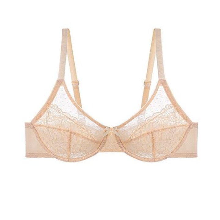 lace bra