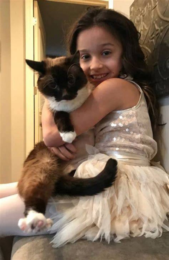  Little London Eisenbeis, from Michigan, US, loved gymnastics and cats