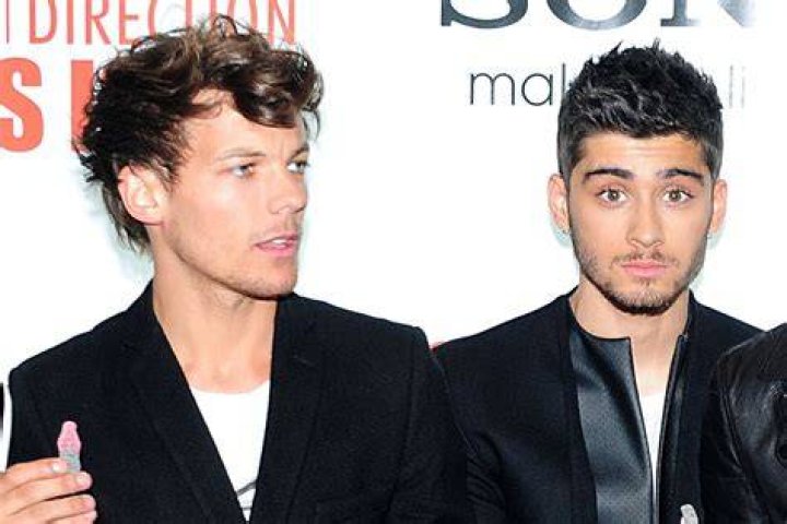 Louis fell out with Zayn after the band member called their music 'generic as f**k'