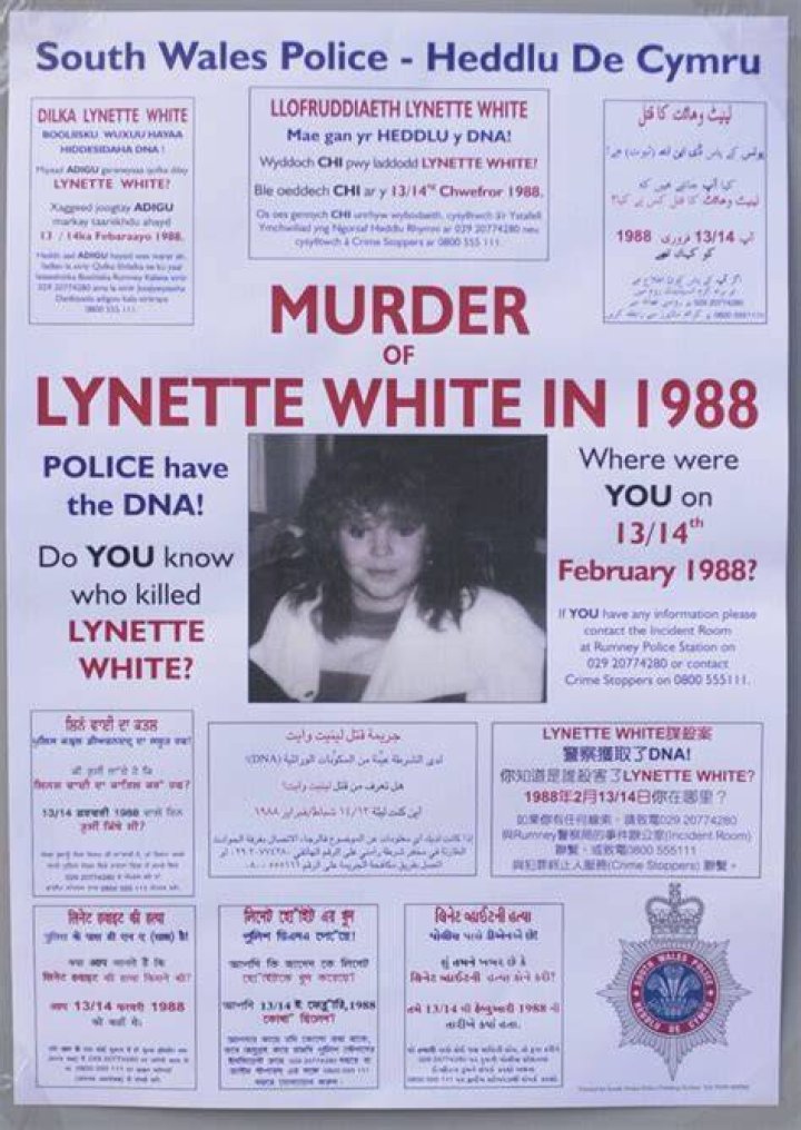 Lynette White was stabbed to death on Valentine's Day by a sadistic killer