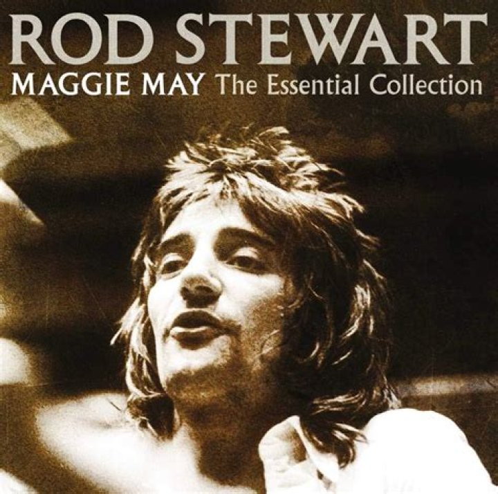 Maggie May star Rod Stewart created his famous barnet with mayonnaise