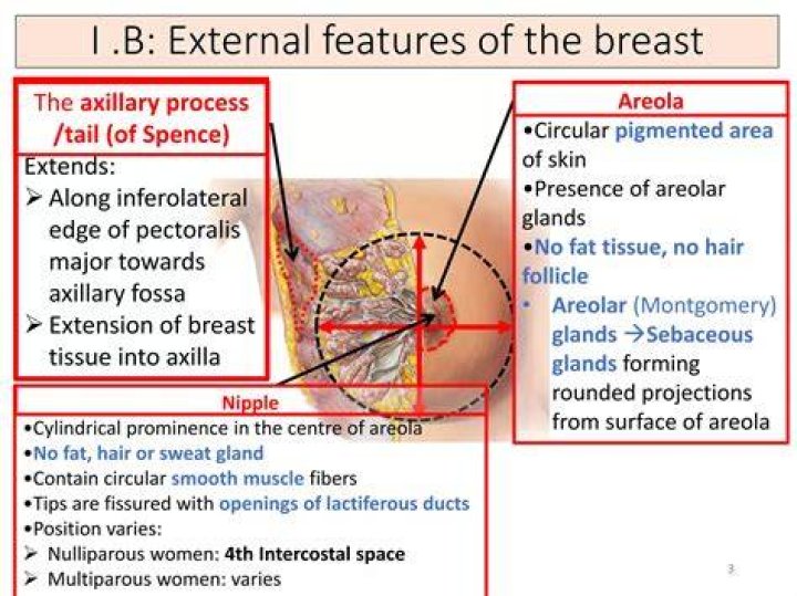 Marrion Areola is health and wellness guru like Gwyneth Paltrow