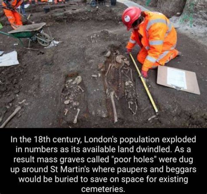  Mass graves were dug to bury the 190 corpses brought back to Halifax