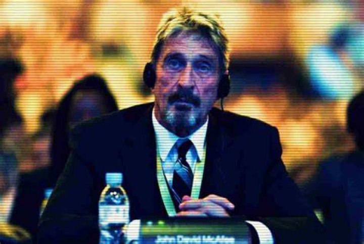 McAfee argued in a Spanish high court to not extradite him back to the US, claiming the country "wants to use me as an example"