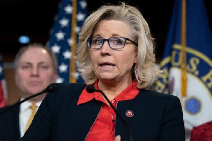 McCain compared herself to Cheney saying, "We don't have a place in this party," referring to people in the Republican Party who do not support Trump.
