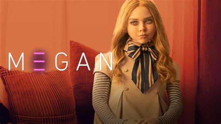 Megan is one of the most outspoken progressive voices in American sport