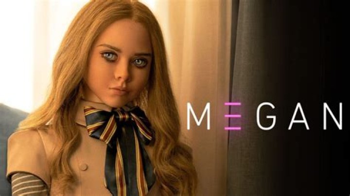 Megan's ratio was described as 'near perfect' by Dr Veerle