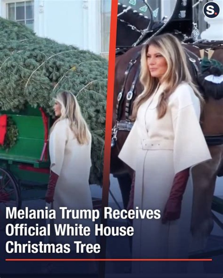  Melania had welcomed the official White House Christmas Tree last Monday