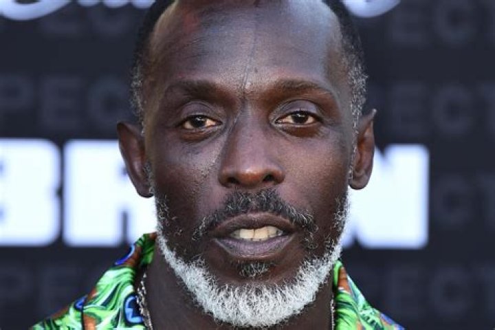 Michael K Williams opened up about his drug relapses and therapy battle shortly before his death