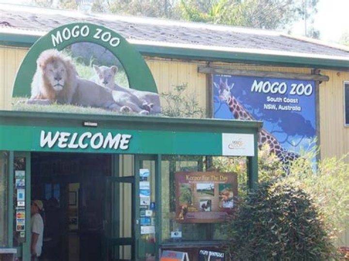 Mogo Zoo on the NSW South Coast is home to around 200 animals