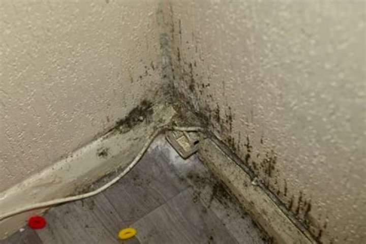 Mould be seen on her walls as well as on her possessions, she says