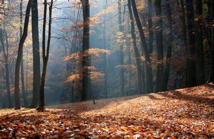 Nature's Bounty Hair, Skin & Nails