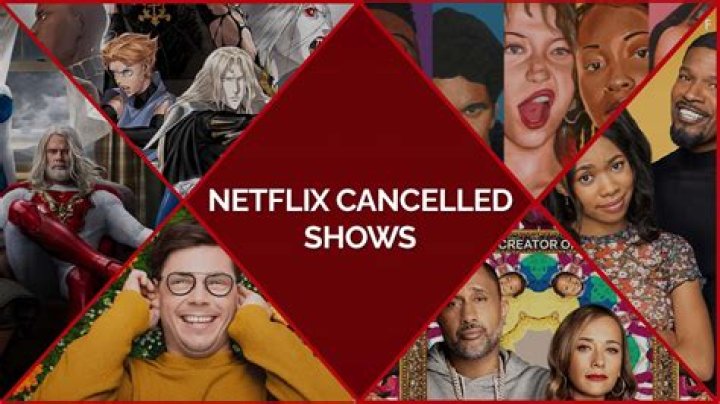 Netflix cancelled his show before it aired due to the allegations
