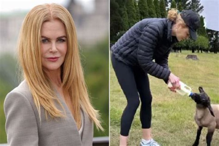 Nicole Kidman Bottle Feeds Baby Lambs on Her and Keith Urban s Farm and It s Very Cute