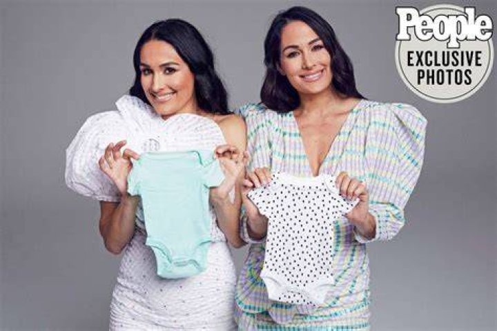 Nikki and Brie Bella Twinning Baby Bumps In Bikinis
