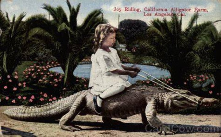 nina and emma riding alligator