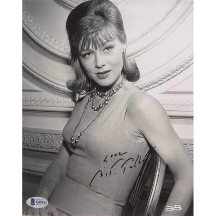 Nita Talbot Net Worth, Income, Salary, Earnings, Biography, How much money make?