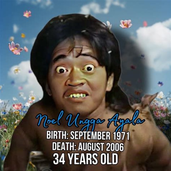 Noel &lsquo;Ungga&rsquo; Ayala Net Worth, Income, Salary, Earnings, Biography, How much money make?