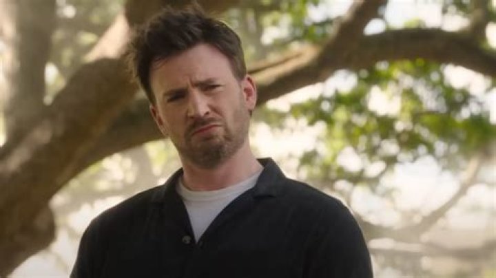  One Chris Evans would be enough hunk for most people - but it turns out he has an equally hunky brother Scott