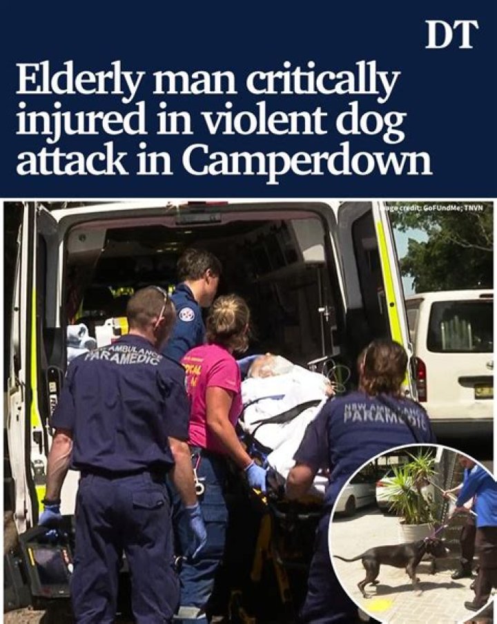 Paramedics battled to save him, but he died at the scene