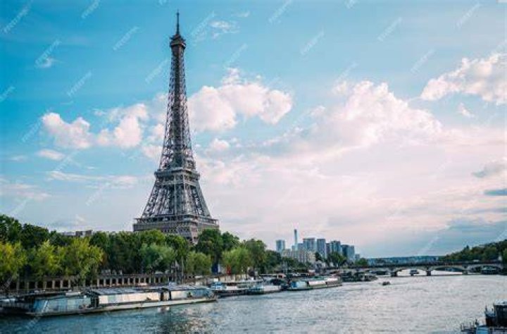 Paris' partner Lawrence Lees also joined in the business after being made redundant