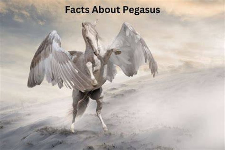 Pegasus is known to have targeted Apple devices and can avoid detection by antivirus software