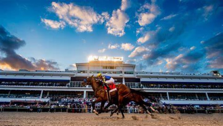 Pegasus World Cup