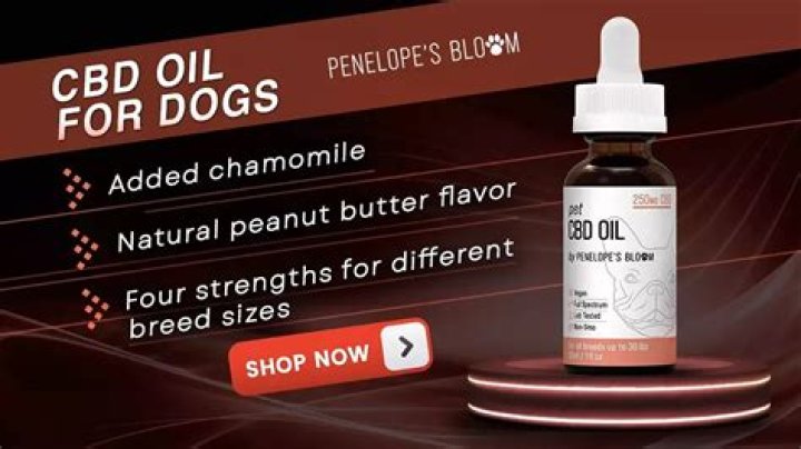 Penelope’s Bloom