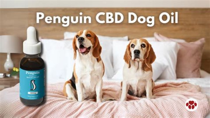 Penguin CBD Dog Oil (2)