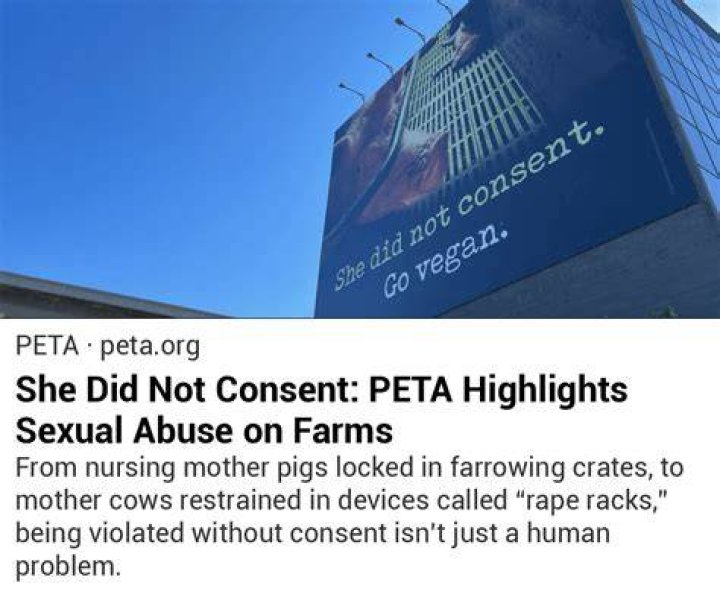 Peta confessed she's like to have a girl next time