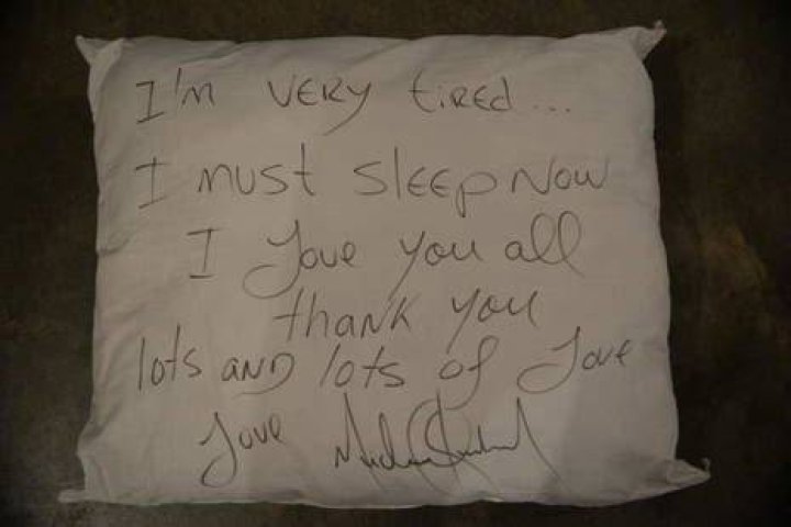  Pillows are seen inscribed with quotes from the books
