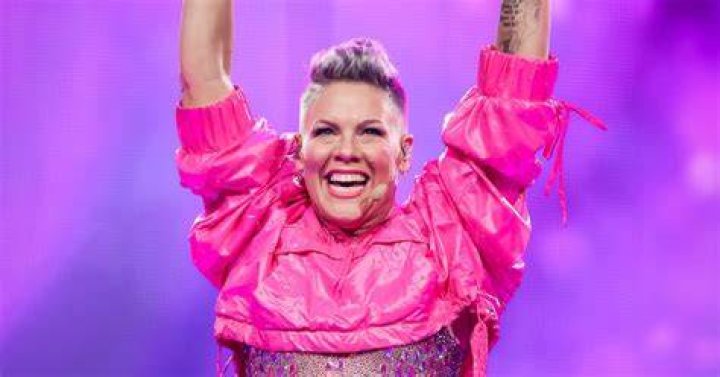 Pink Claps Back at Comment She s Old I Still Get to Wear a Leotard to Work