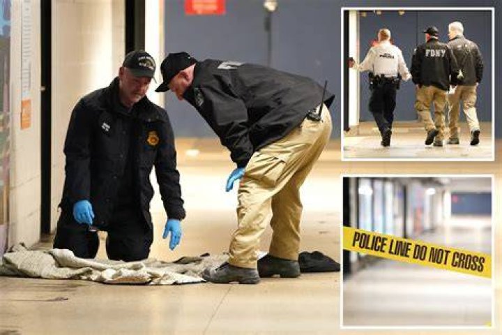 Police are probing the cause of the crash