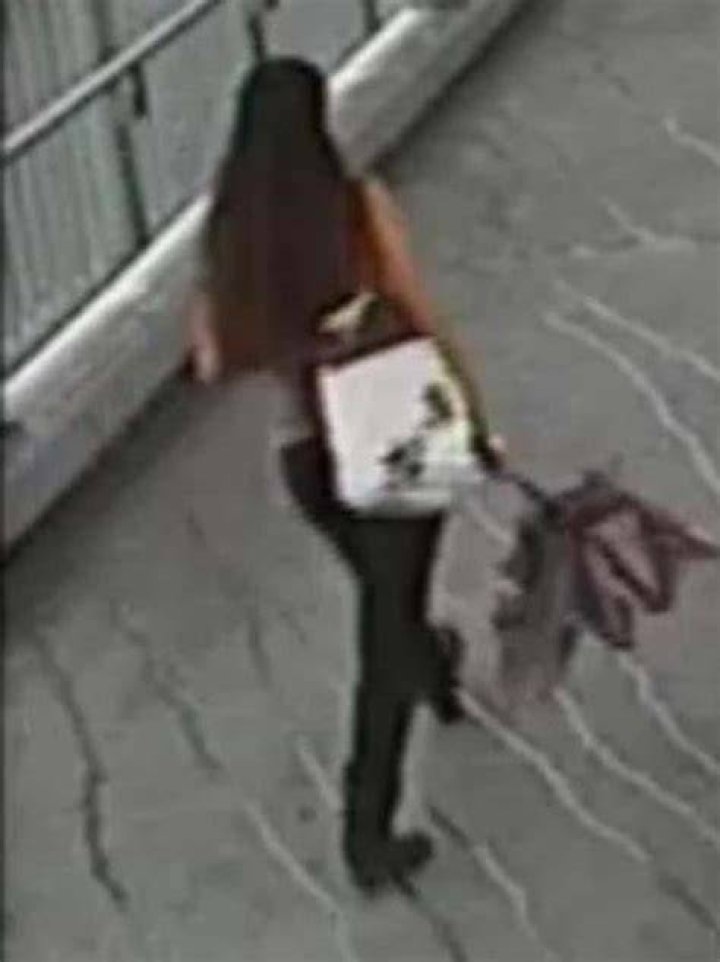 Police said Sophie was attacked for her gothic appearance
