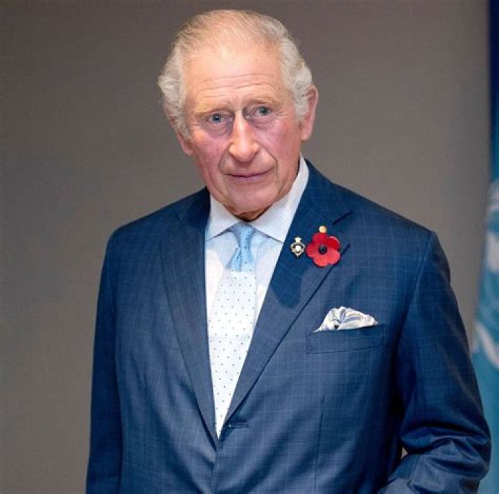 Prince Charles Denies New Book's Claim He Made a Comment About Archie&rsquo;s Skin Color 2