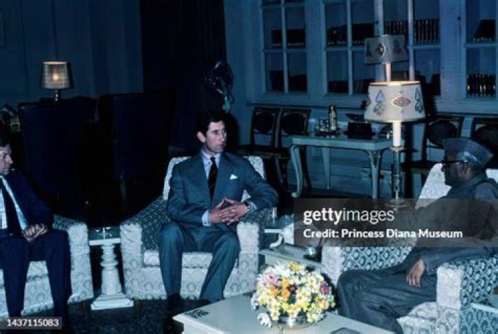 Prince Charles meets Neelam in an eye popping Kristin Aadnevik dress
