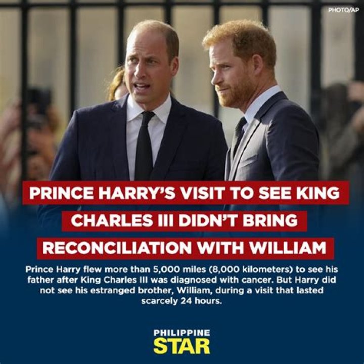 Prince Harry flew 5,000 miles to see King Charles after his cancer diagnosis