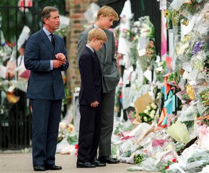 Prince Harry said he didn't want to see history repeat himself